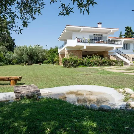 Stone Made Seaside Villa Nikiti (Sithonia)